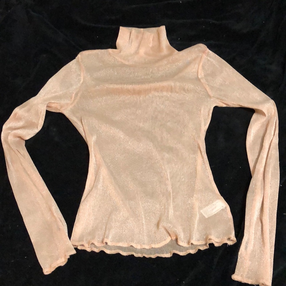 Long sleeve sheer turtleneck